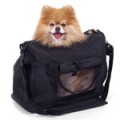 5 Tips on Traveling with Your Pet: Keeping Your Best Friend Comfortable on a Long Trip