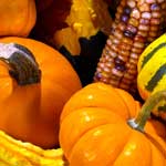 Fun Fall Activities to do with the Family