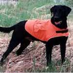 Blaze Vest