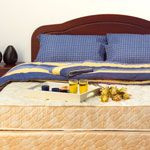 Sleep: The Best Defense for a Healthy Life