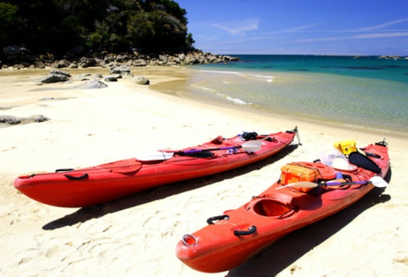 Water Sports to Try This Summer