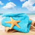 Summer Essentials