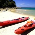 Water Sports to Try This Summer 