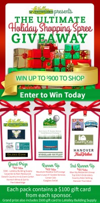 The Ultimate Holiday Shopping Spree Giveaway
